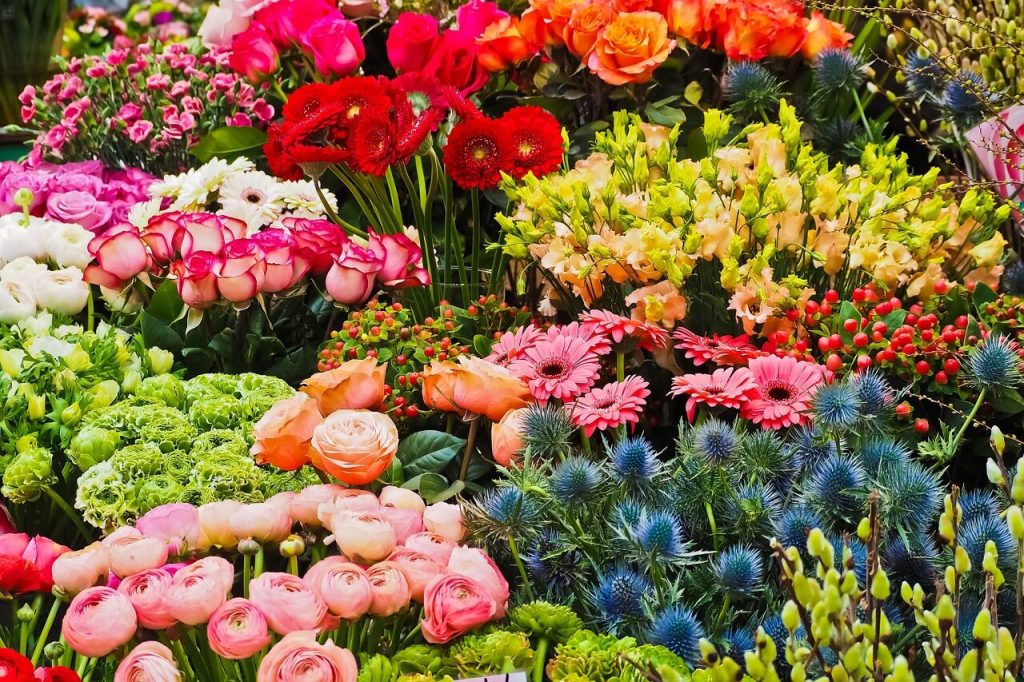 Bloemen bij de bloemensuper