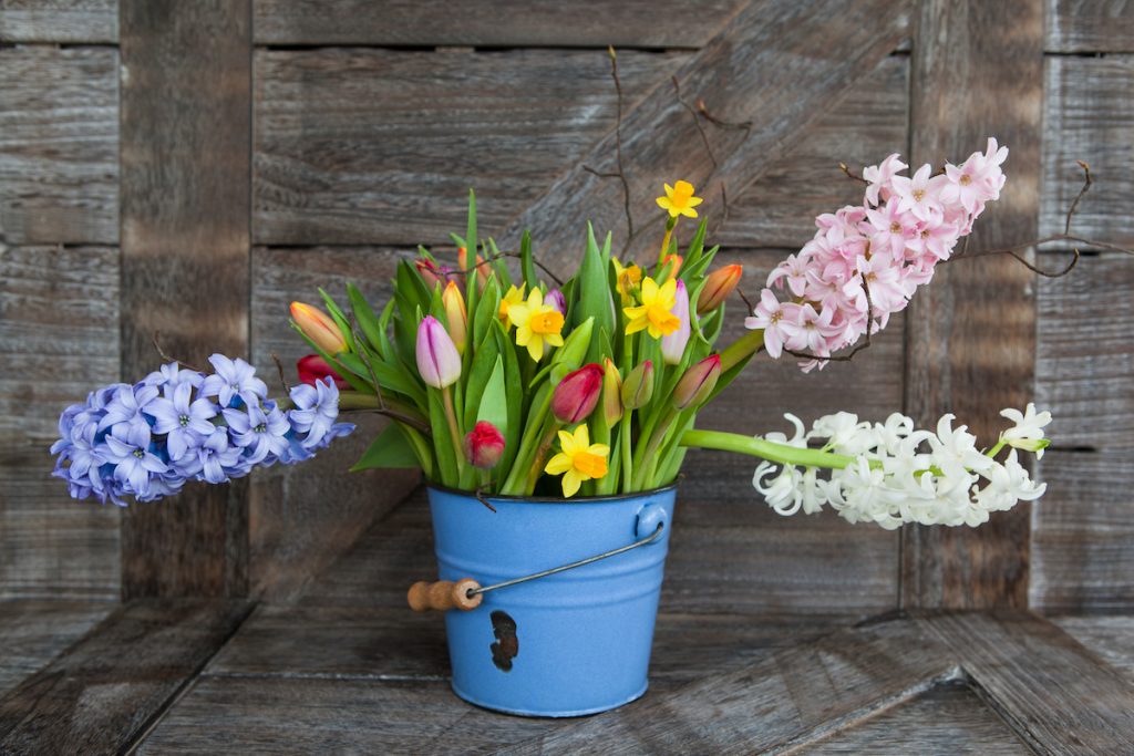 Lente bloemen kopen bij de bloemensuper