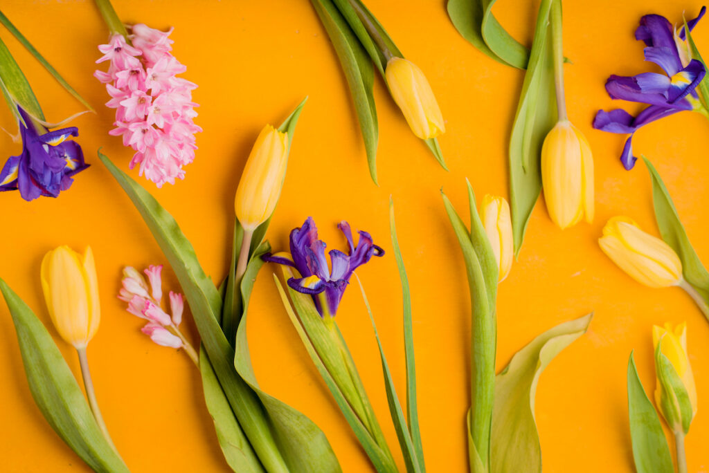 kleuren van lentebloemen